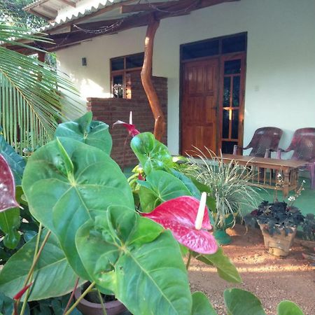 Amaya River Side Homestay Sigiriya Exterior foto
